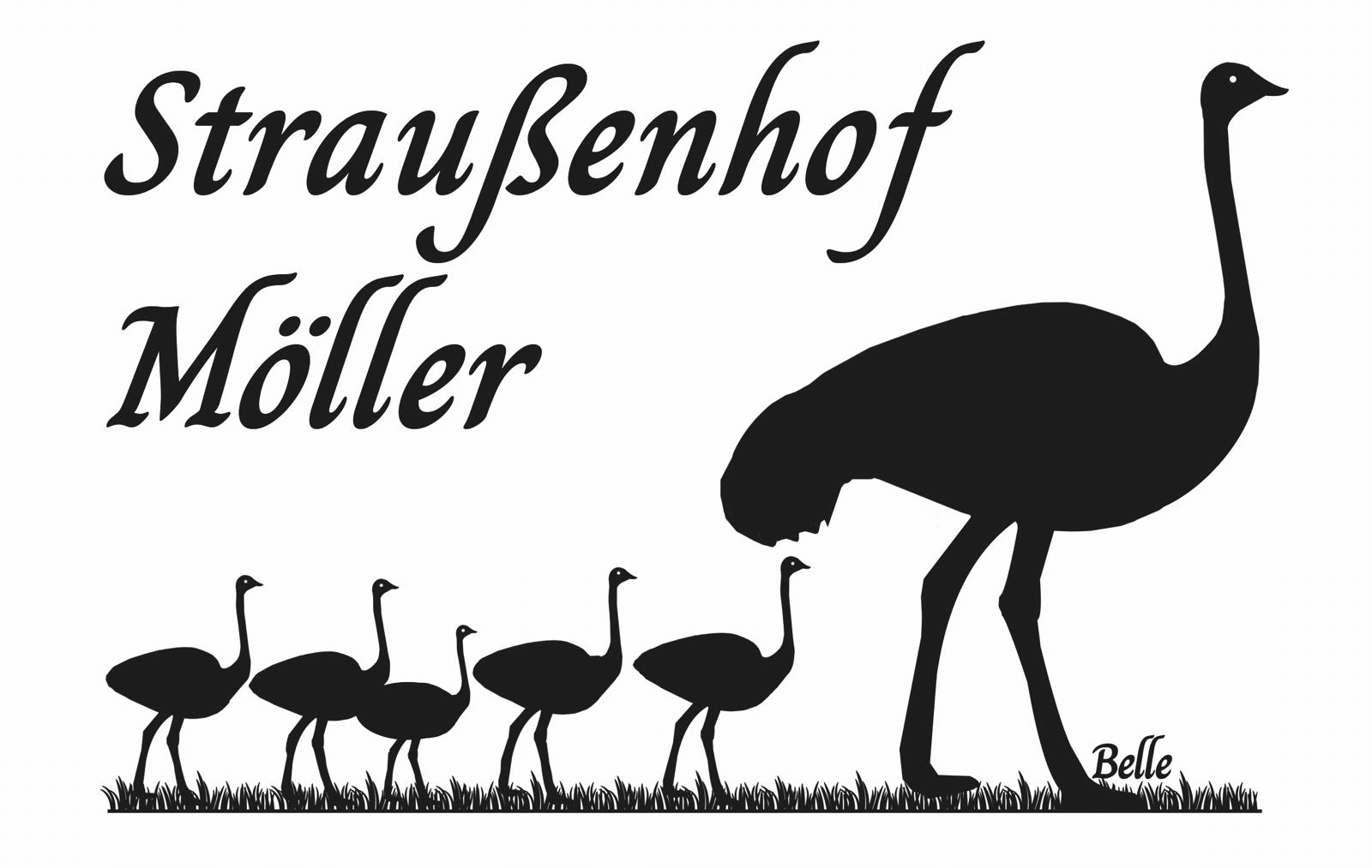 straussenhof_moeller_logo_final-1